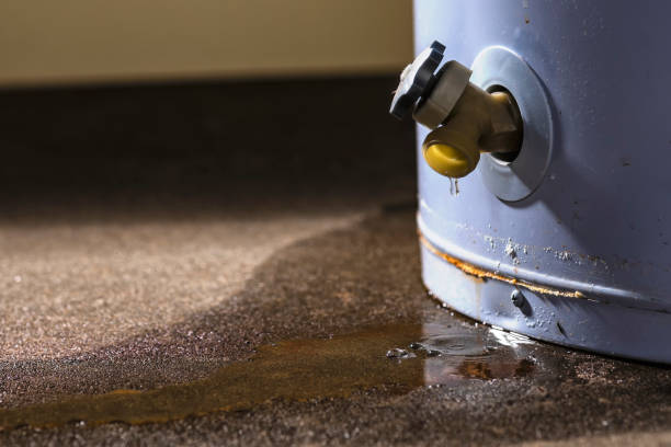 Best Flood damage cleanup  in Stockton, MO