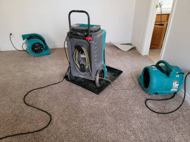 Water damage restoration mold remediation in Stockton, MO