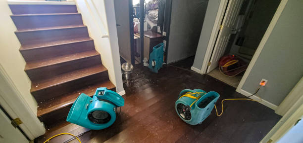 Best Water damage contractors near me  in Stockton, MO