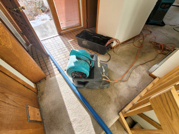 Best Local water damage restoration  in Stockton, MO