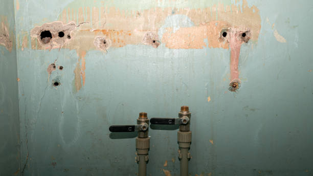 Best Flood restoration services  in Stockton, MO