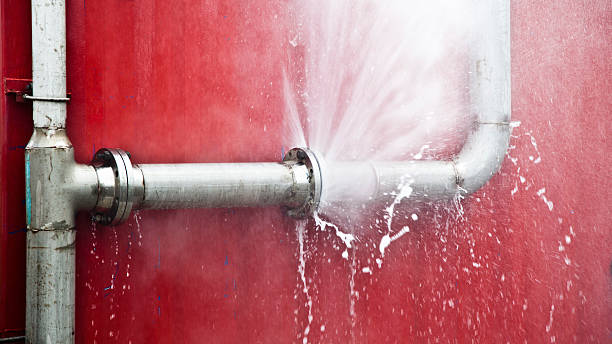 Best Professional water damage repair  in Stockton, MO